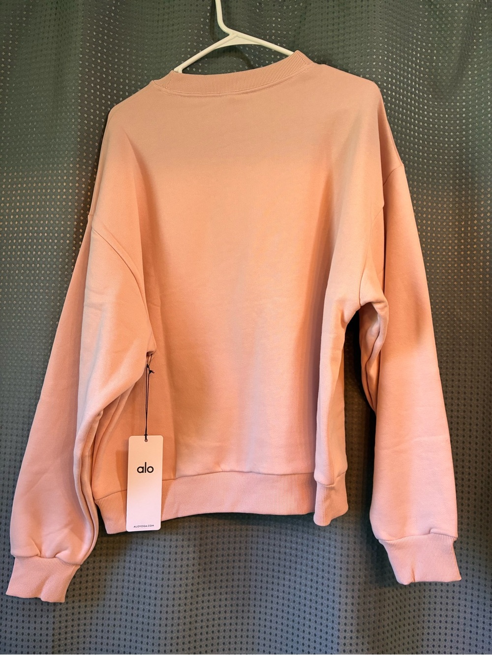 ALO Yoga Cozy Crewneck Sweatshirt - Pink Quartz - Picture 4 of 6